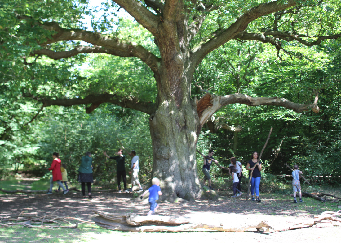 GCK The Peoples Forest Grimstons Oak 3